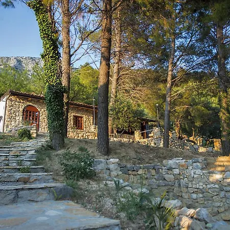 Raos Villa *